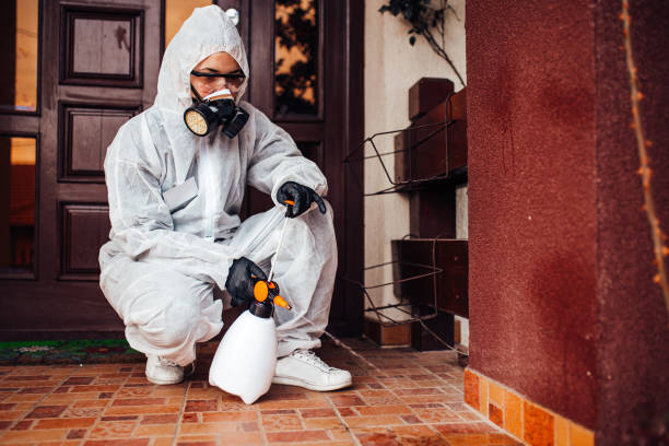 Reliable Wasp Removal contractor in Shawnee, KS by Show Me Pest Control